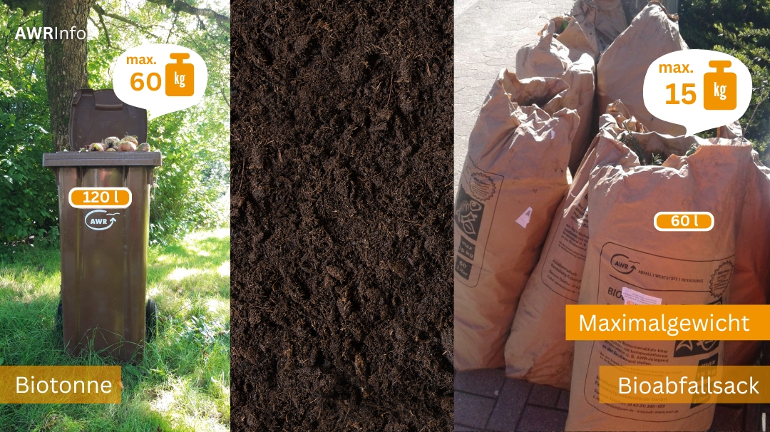 Symbolbild mit Biotonne und Bioabfallsäcken und Kompost