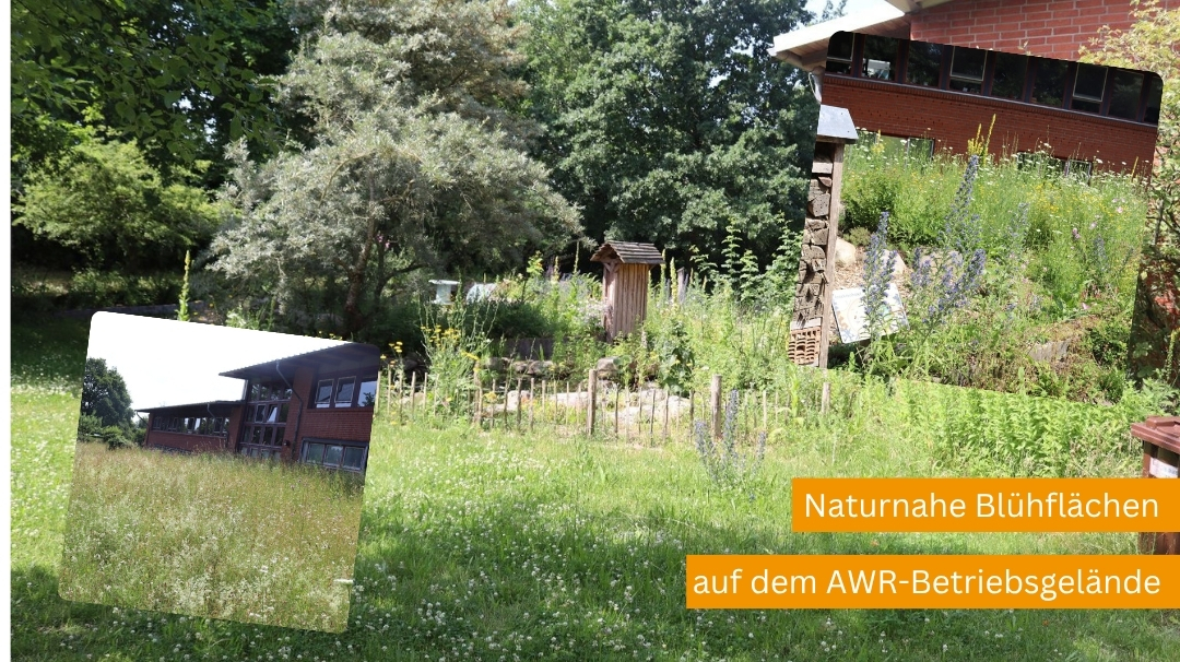 Naturnahe Blühflächen